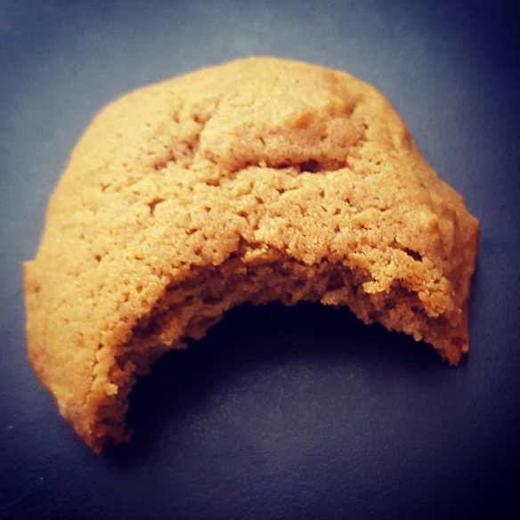 Molasses Cookie